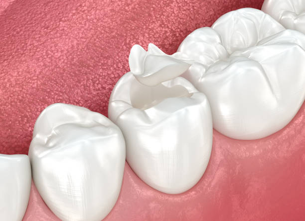 Professional  Dental Services in Marion, KY